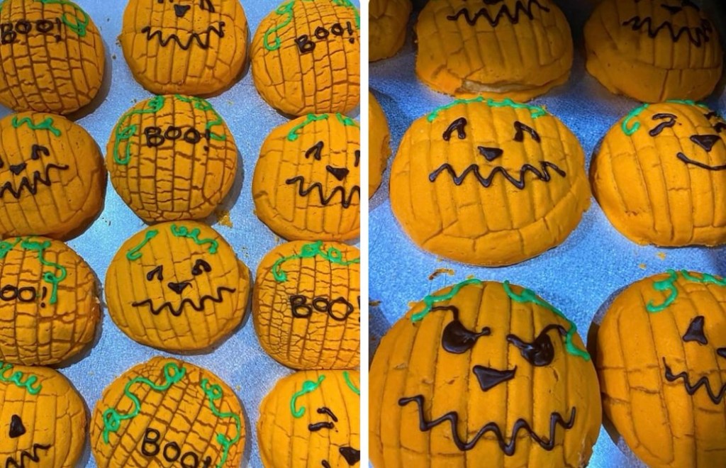 c5d0f-img_7092.jpg?w=1024&h=660