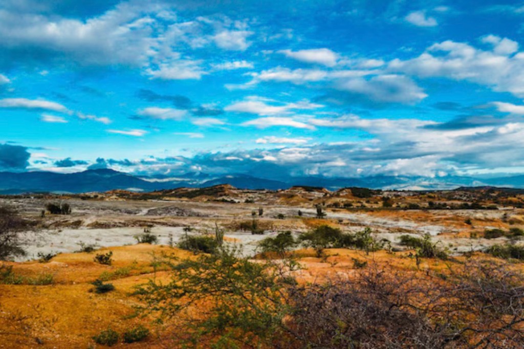 img_5778-1.jpg?w=1024