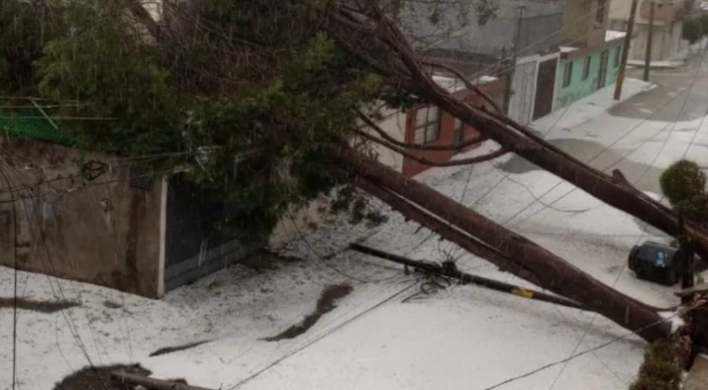 img_5981-1-1.jpg?w=1024